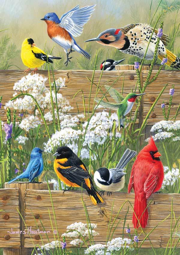 Hautman Brothers: Songbird Menagerie - 300pc Jigsaw Puzzle by Buffalo Games - image 1