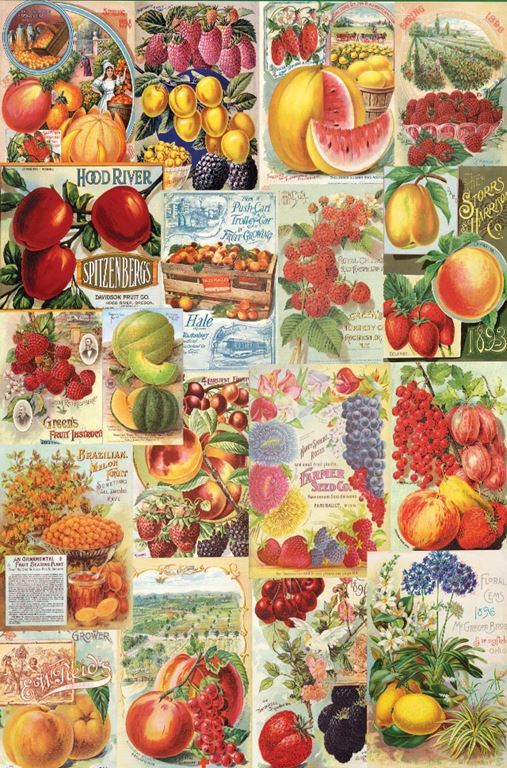 Seed Catalog: Smithsonian, Fruits - 1000pc Jigsaw Puzzle by Eurographics - image 1