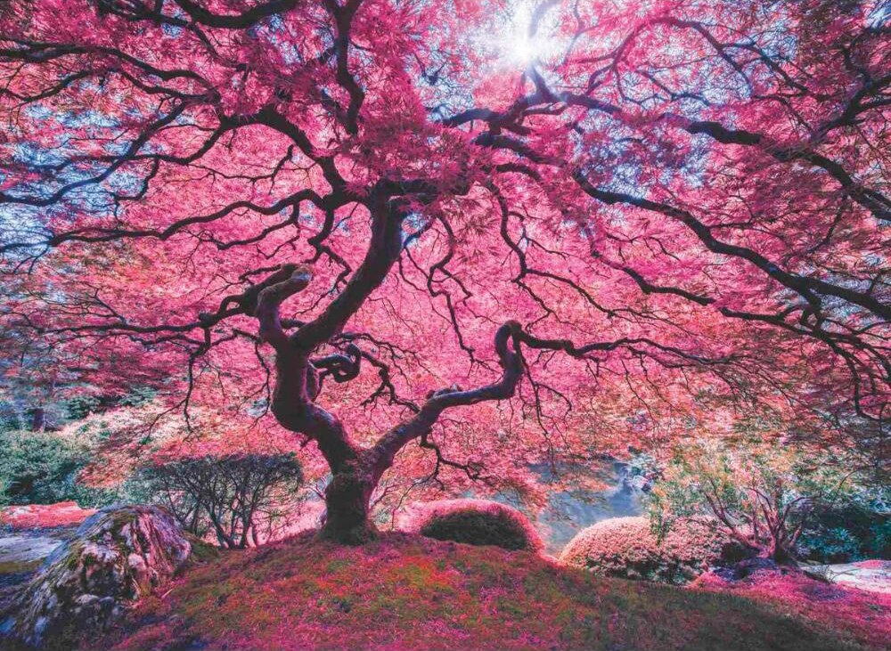 Pink Tree - 1000pc Jigsaw Puzzle by Anatolian - image 1