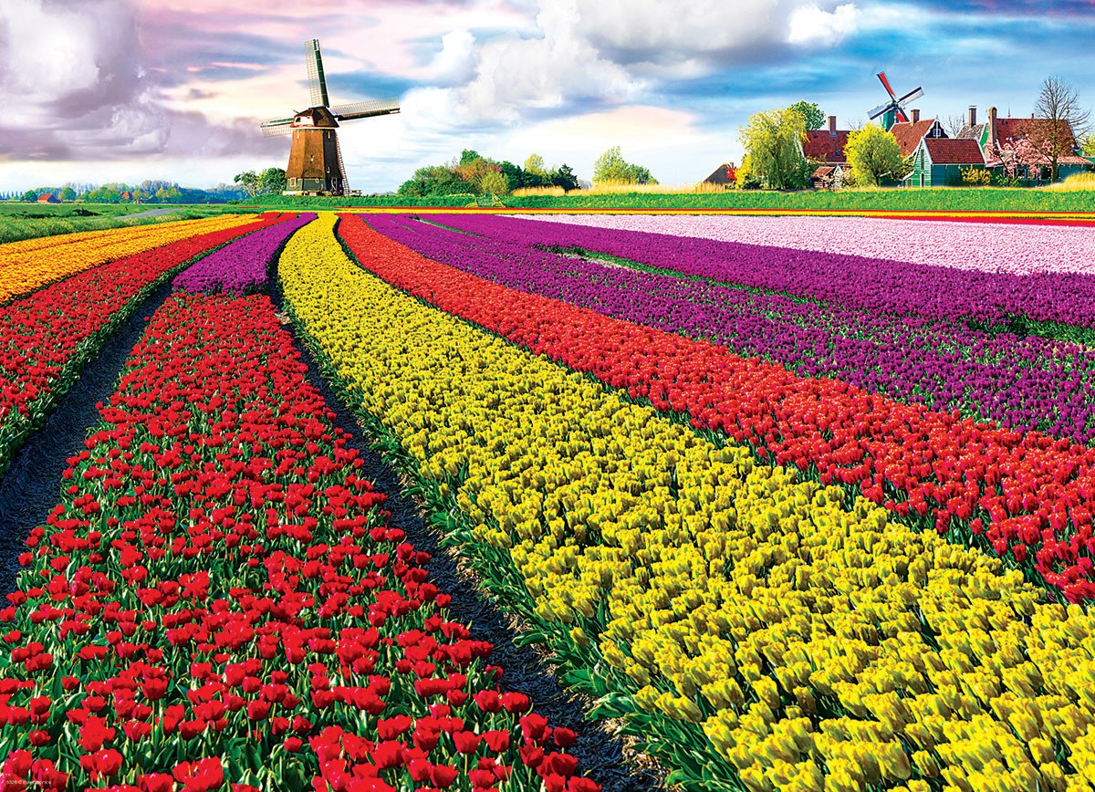 Tulip Field, Netherlands - 1000pc Jigsaw Puzzle by Eurographics  			  					NEW - image 2