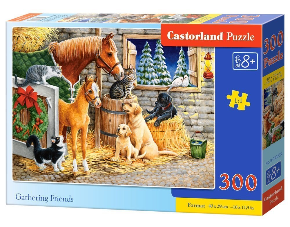 Gathering Friends - 300pc Jigsaw Puzzle By Castorland  			  					NEW - image 1