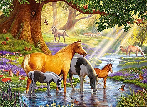 Horses by the Stream - 300pc Jigsaw Puzzle By Castorland  			  					NEW