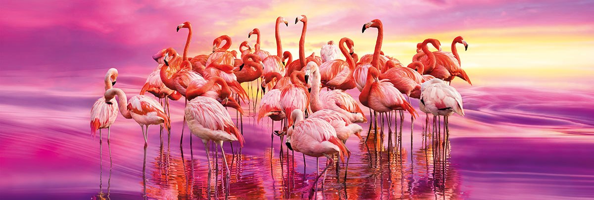 Flamingo Dance - 1000pc Panoramic Jigsaw Puzzle by Clementoni  			  					NEW - image 2