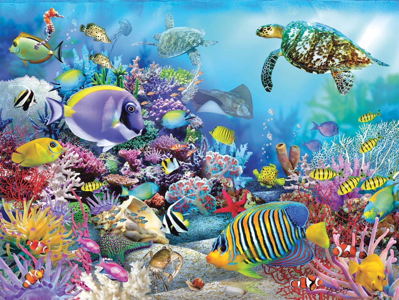 Coral Reef Majesty - 2000pc Jigsaw Puzzle By Ravensburger  			  					NEW - image 2