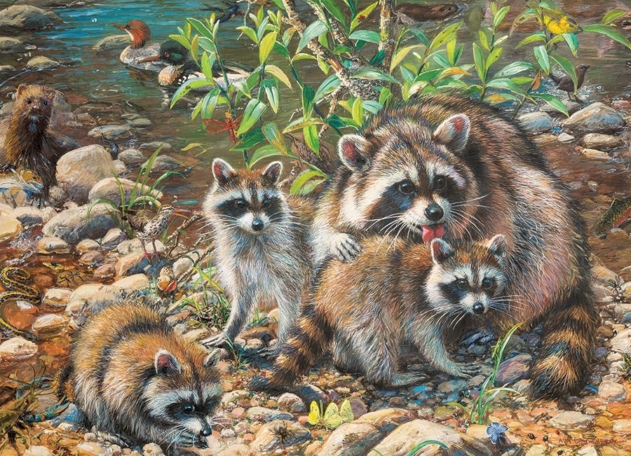 Raccoon Family - 350pc Family Jigsaw Puzzle by Cobble Hill  			  					NEW