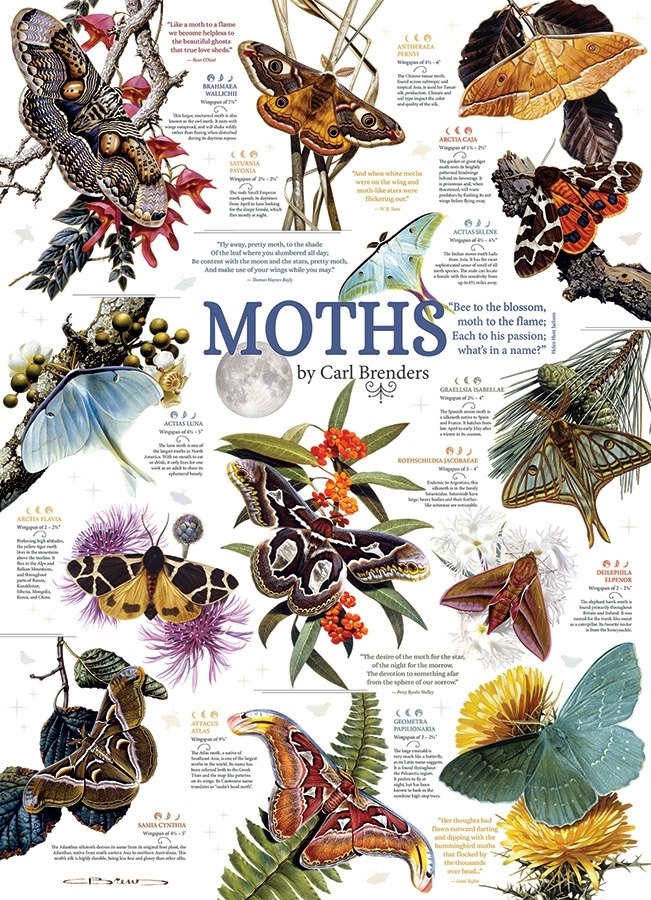 Moth Collection - 1000pc Jigsaw Puzzle by Cobble Hill  			  					NEW