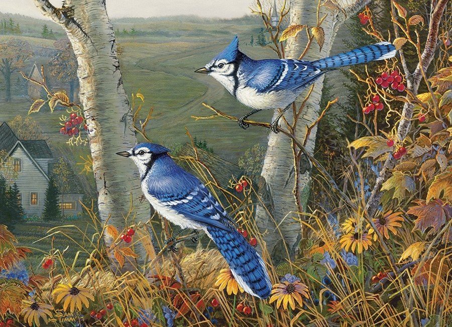 Blue Jays - 1000pc Jigsaw Puzzle by Cobble Hill  			  					NEW