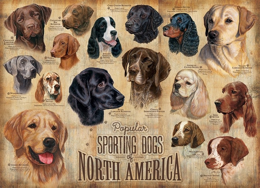 Sporting Dogs - 1000pc Jigsaw Puzzle by Cobble Hill  			  					NEW - image main