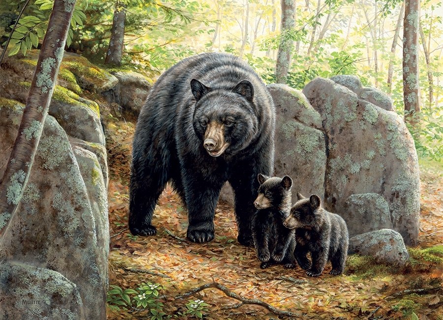 Mama Bear - 1000pc Jigsaw Puzzle By Cobble Hill  			  					NEW