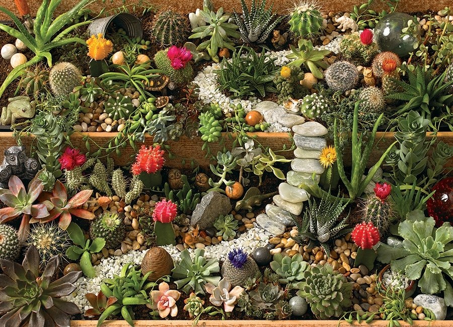 Succulent Garden - 1000pc Jigsaw Puzzle by Cobble Hill  			  					NEW