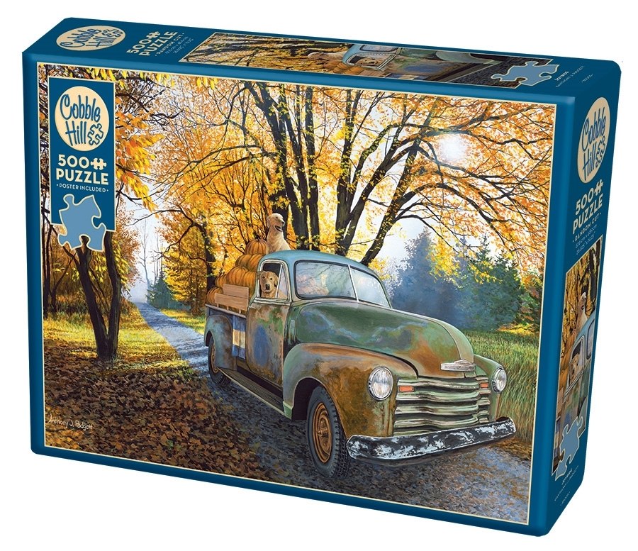 Joyride - 500pc Jigsaw Puzzle By Cobble Hill  			  					NEW - image 1