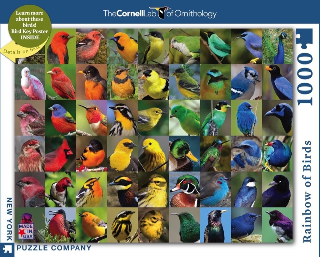 Rainbow of Birds - 1000pc Jigsaw Puzzle by New York Puzzle Company  			  					NEW - image 1