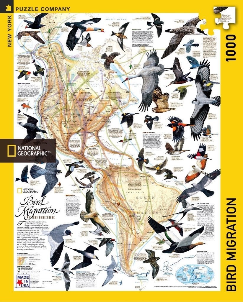 Bird Migration - 1000pc Jigsaw Puzzle by New York Puzzle Company  			  					NEW - image 1