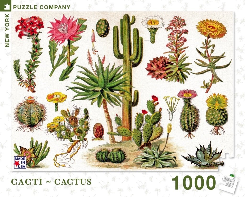 Cacti ~ Cactus - 1000pc Jigsaw Puzzle by New York Puzzle Company  			  					NEW - image 1