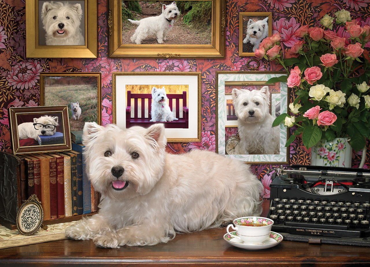 Westies Are My Type - 1000pc Jigsaw Puzzle by Cobble Hill  			  					NEW