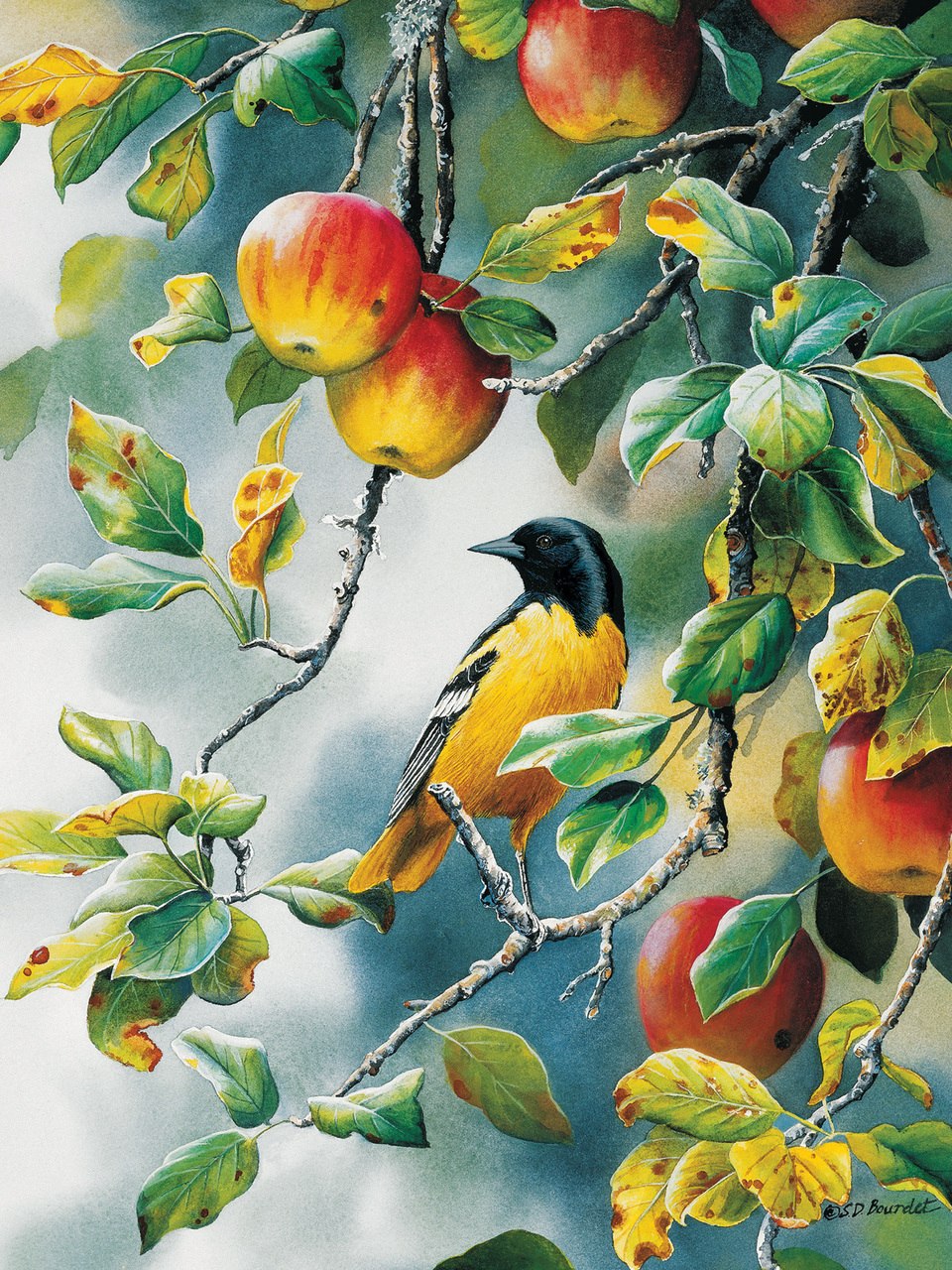 Northern Oriole - 1000pc Jigsaw Puzzle by Cobble Hill  			  					NEW