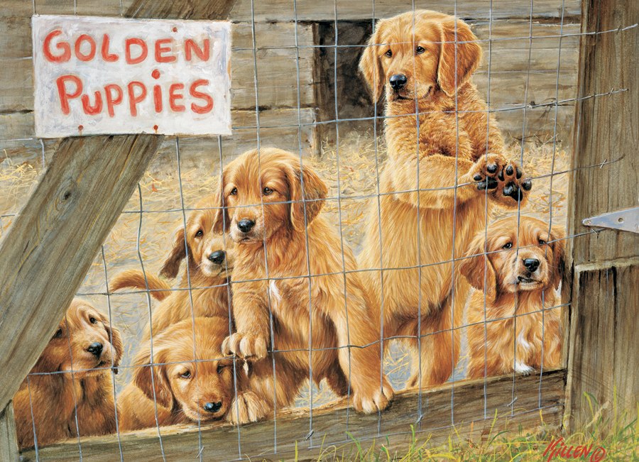 Golden Puppies - 500pc Jigsaw Puzzle By Cobble Hill  			  					NEW - image 1