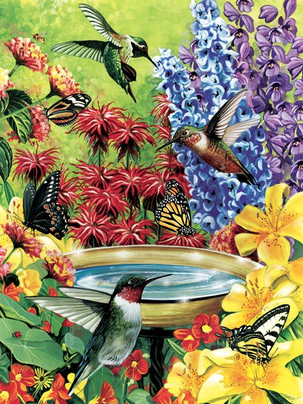 Hummingbird Garden - 500pc Jigsaw Puzzle by Cobble Hill  			  					NEW