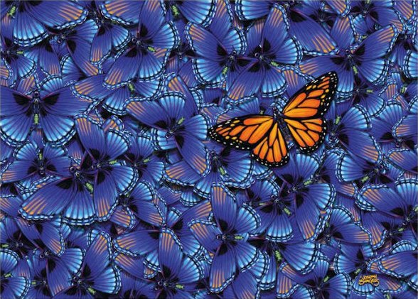 Butterfly Challenge - 1000pc Jigsaw Puzzle By Ravensburger  			  					NEW