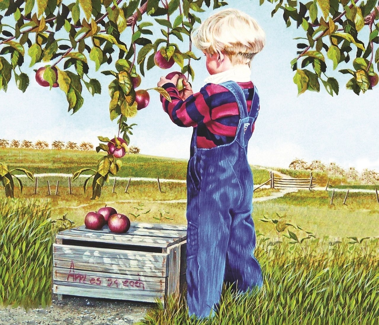 Apple Picking - 550pc Jigsaw Puzzle By Sunsout  			  					NEW