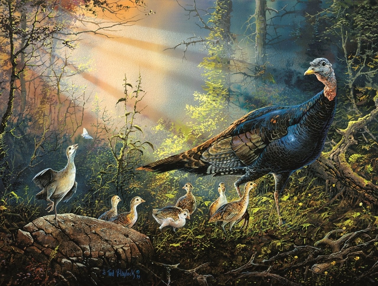 Turkey in the Sun Rays - 300pc Jigsaw Puzzle By Sunsout  			  					NEW