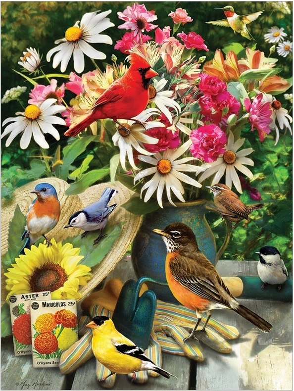 Garden Birds - 500pc Jigsaw Puzzle by Cobble Hill  			  					NEW