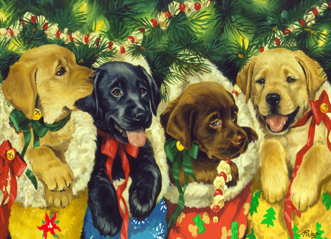 Stocking Puppies - 1000pc Jigsaw Puzzle by Vermont Christmas Company  			  					NEW