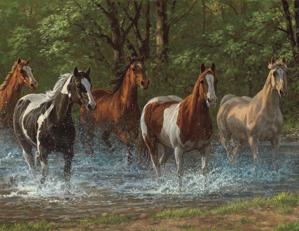 Summer Creek - 500pc Jigsaw Puzzle By Springbok  			  					NEW