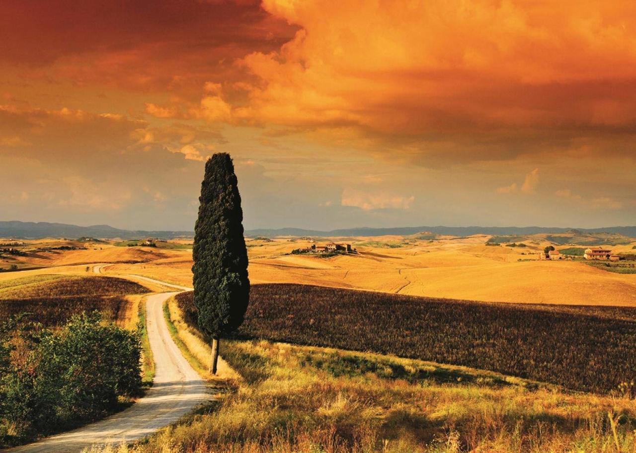 Tuscan Sunset - 1000pc Jigsaw Puzzle By Jumbo  			  					NEW