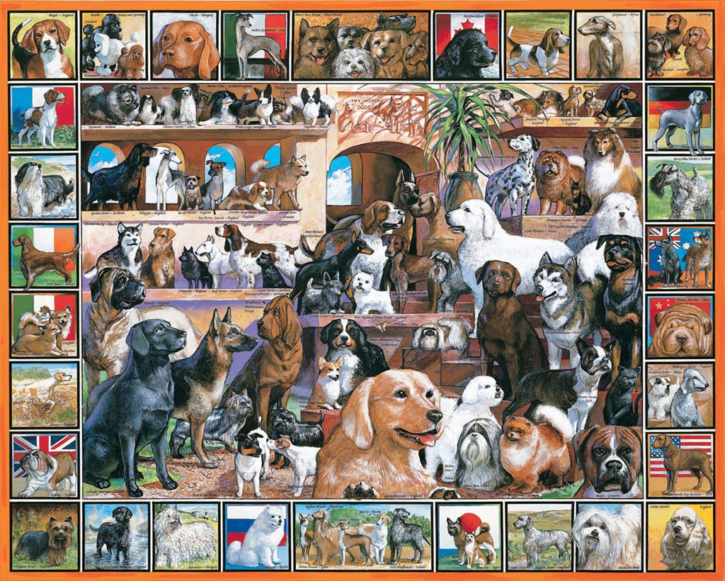 World of Dogs - 1000pc Jigsaw Puzzle by White Mountain