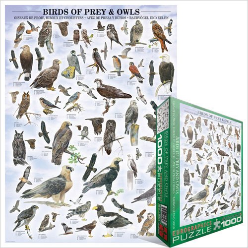 Birds of Prey & Owls - 1000pc Jigsaw Puzzle by Eurographics