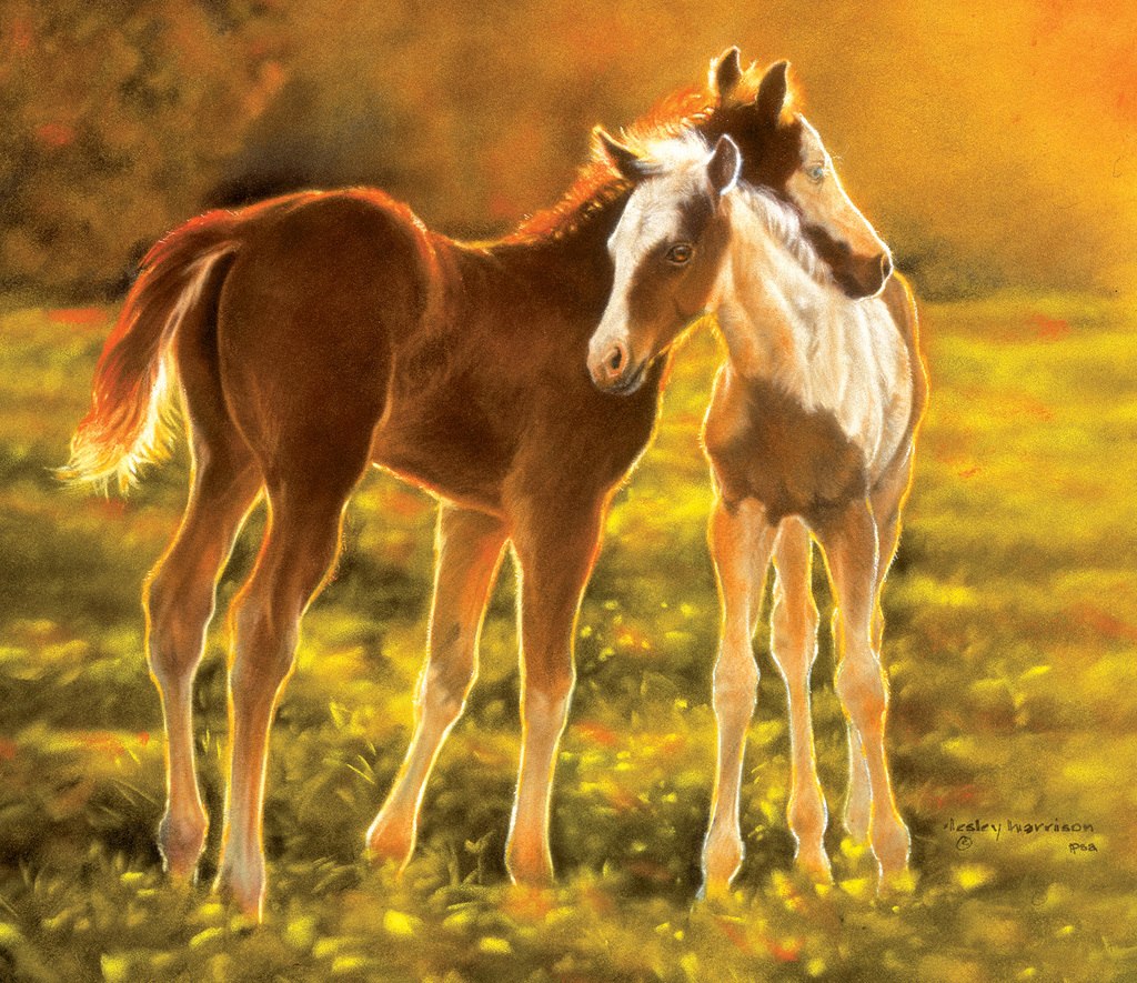Backlit Foals - 550pc Jigsaw Puzzle by SunsOut
