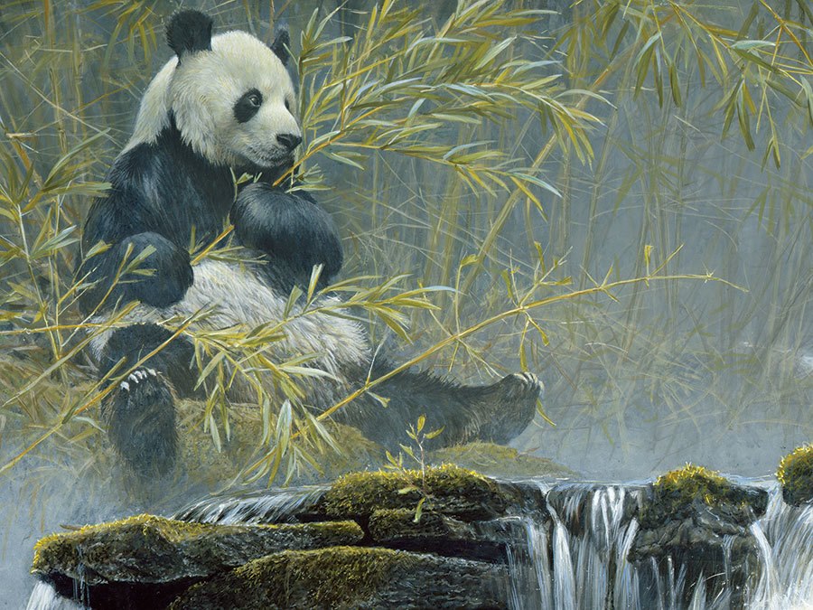 Giant Panda - 500pc Jigsaw Puzzle by Cobble Hill