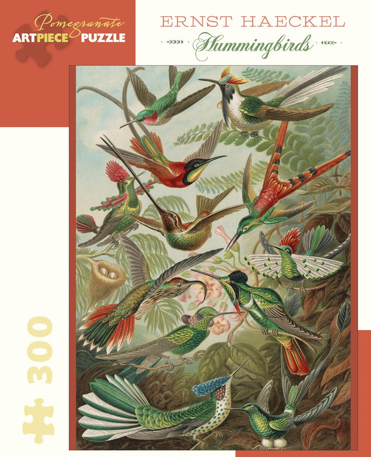 Haeckel: Hummingbirds - 300pc Jigsaw Puzzle by Pomegranate  			  					NEW - image 1