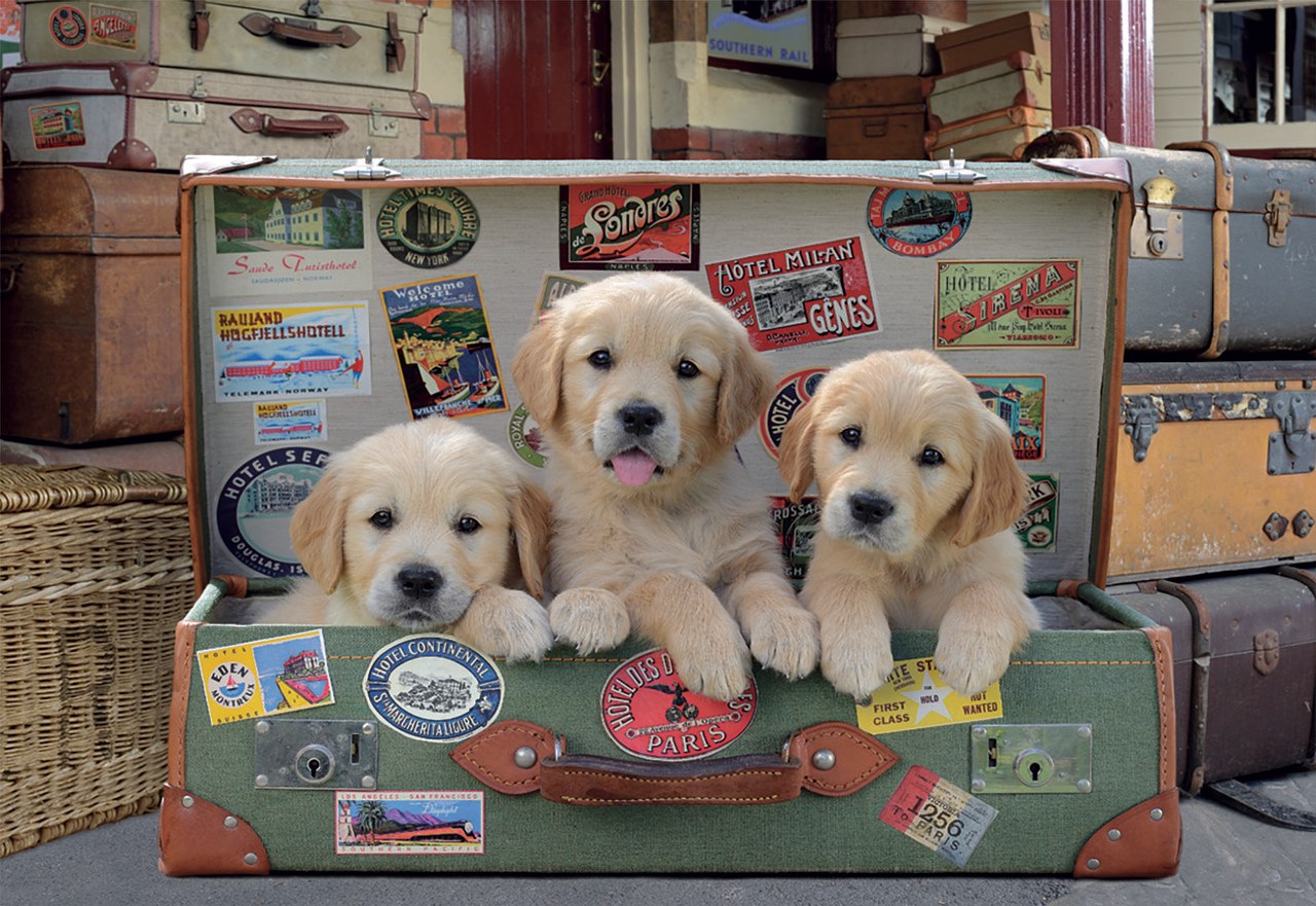 Puppies in the Luggage - 500pc Jigsaw Puzzle by Educa  			  					NEW