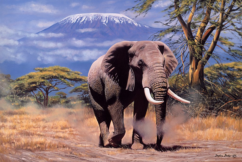 Elephant In Amboseli - 1000pc Jigsaw Puzzle by Tomax