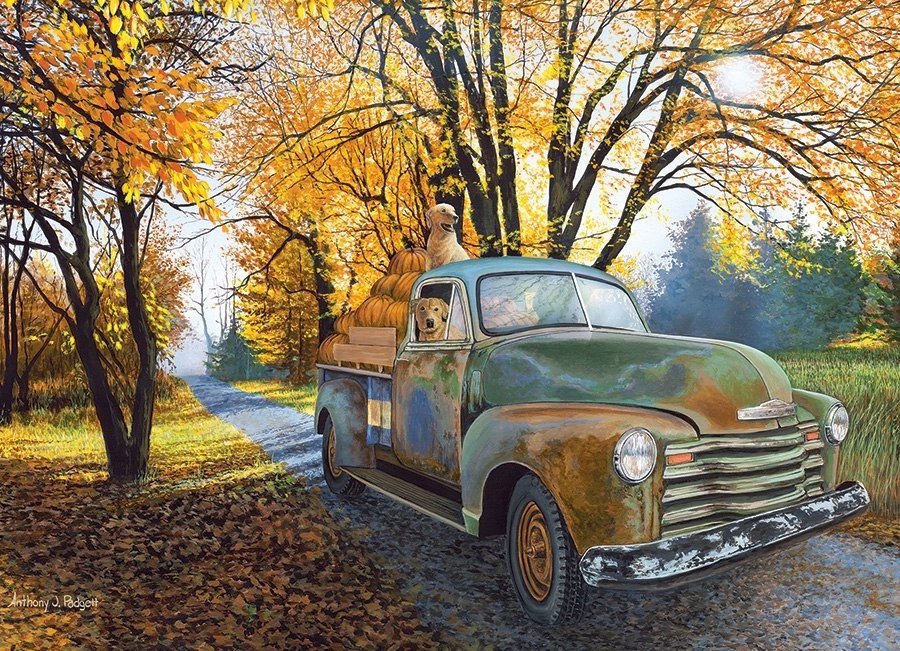 Joyride - 500pc Jigsaw Puzzle By Cobble Hill  			  					NEW - image 2