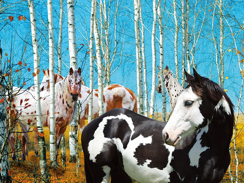 Birch Grove -  Heavenly Horses  - 300pc Jigsaw Puzzle by Lafayette Puzzle Factory