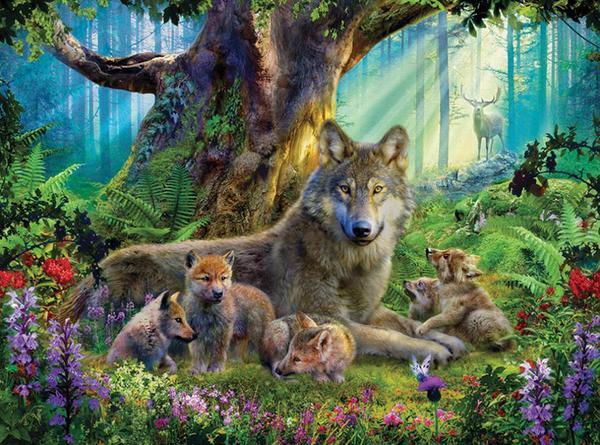 Wolves: Wildlife Mountain - 1000pc Jigsaw Puzzle by Ceaco  			  					NEW