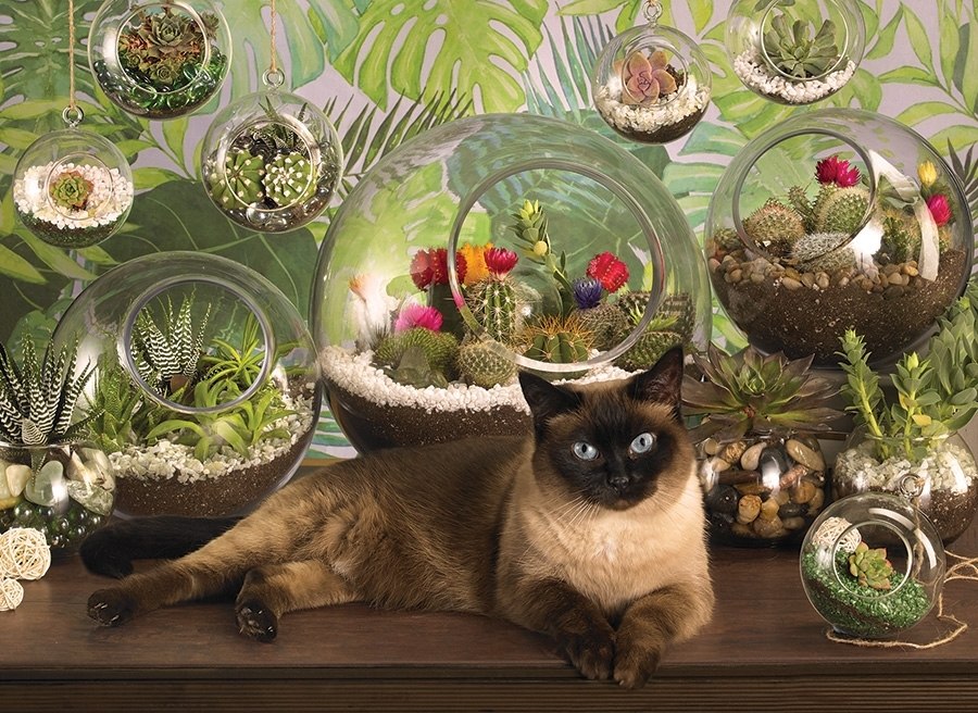 Terrarium Cat - 1000pc Jigsaw Puzzle by Cobble Hill  			  					NEW - image 2