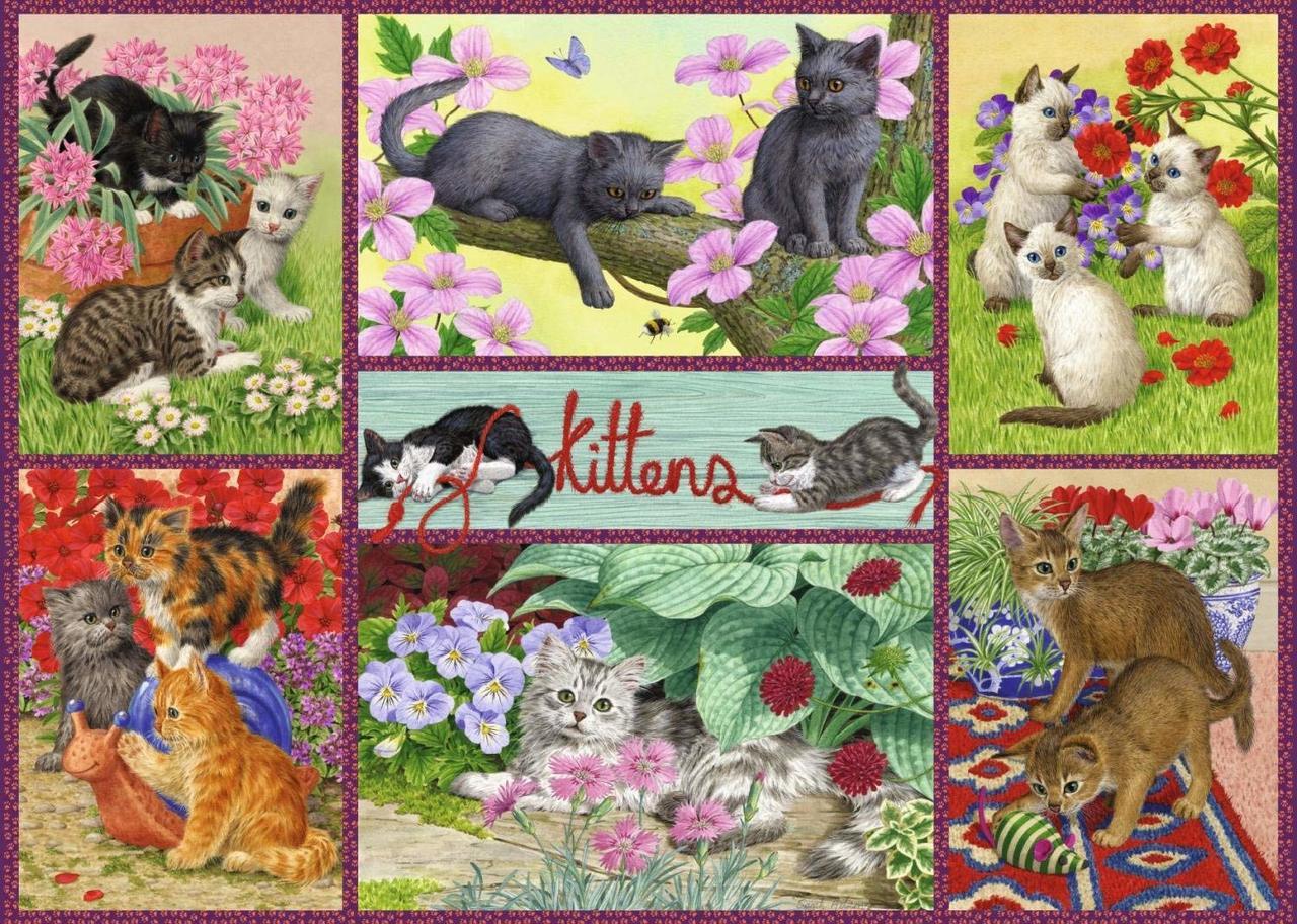 Playful Kittens - 500pc Jigsaw Puzzle By Falcon  			  					NEW