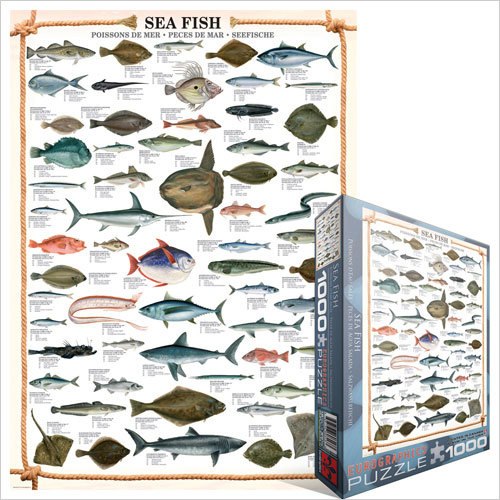 Sea Fish - 1000pc Jigsaw Puzzle by Eurographics