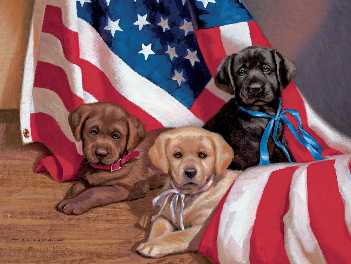 American Puppy - 500pc Jigsaw Puzzle by Lang  			  					NEW - image main