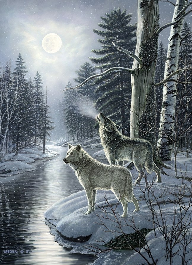 Wolves by Moonlight - 1000pc Jigsaw Puzzle by Cobble Hill  			  					NEW