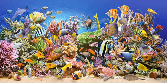 Underwater Life - 4000pc Jigsaw Puzzle By Castorland