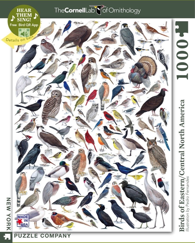 Birds of Eastern/Central North American Birds - 1000pc Jigsaw Puzzle by New York Puzzle Company  			  					NEW - image 1