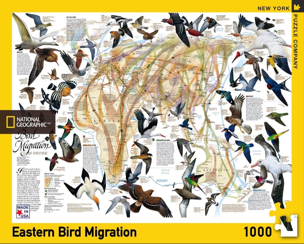 Eastern Bird Migration - 1000pc Jigsaw Puzzle by New York Puzzle Company  			  					NEW - image 1