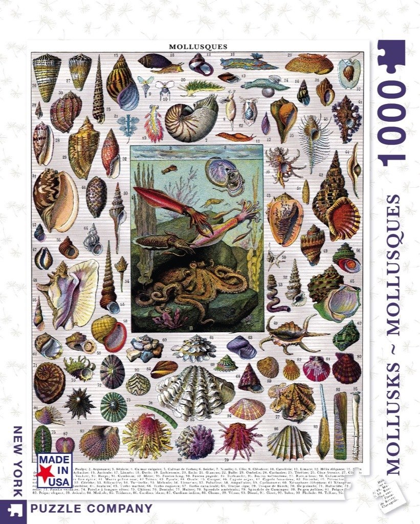 Mollusks - 1000pc Jigsaw Puzzle by New York Puzzle Company  			  					NEW - image 1