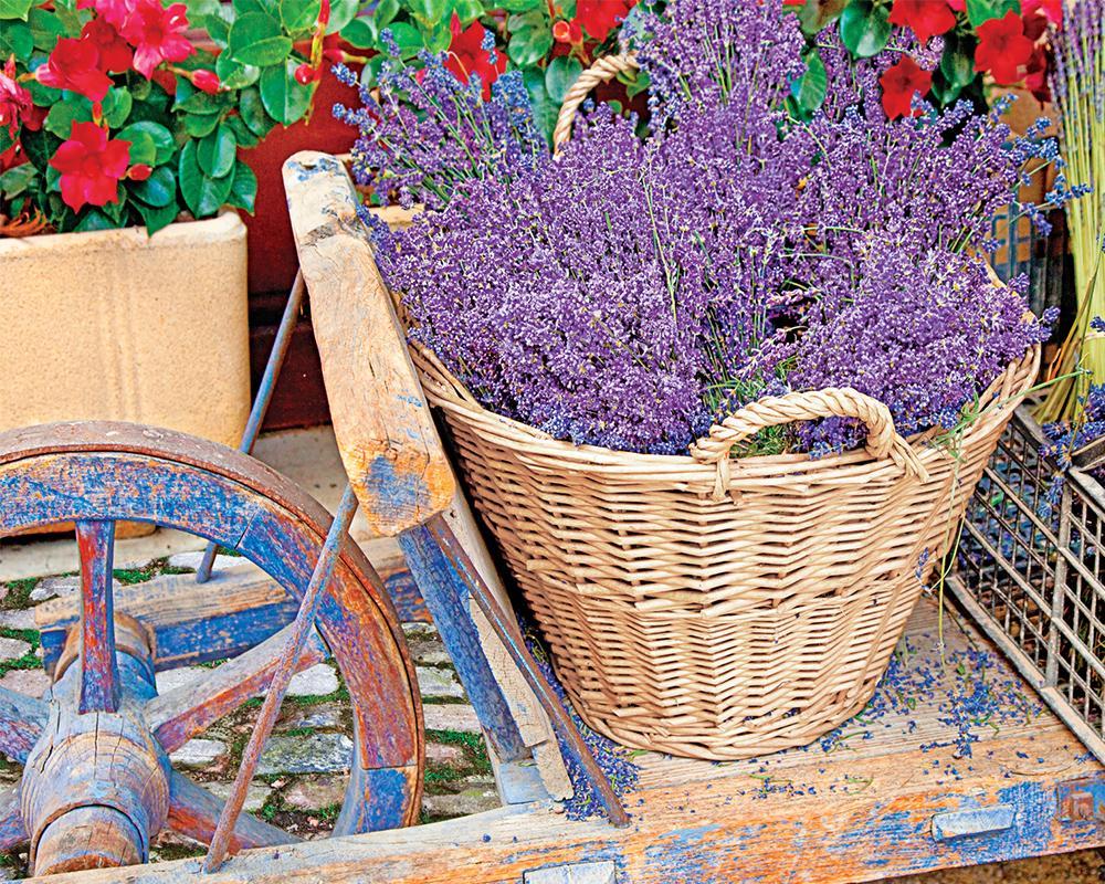 Basket of Lavender - 1000pc Jigsaw Puzzle by Springbok
