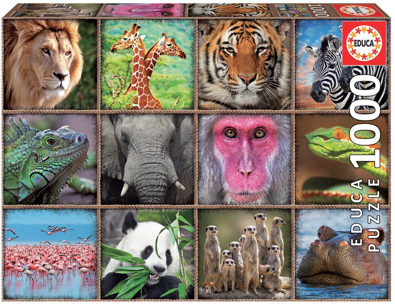 Wild Animals Collage - 1000pc Jigsaw Puzzle by Educa  			  					NEW - image 1